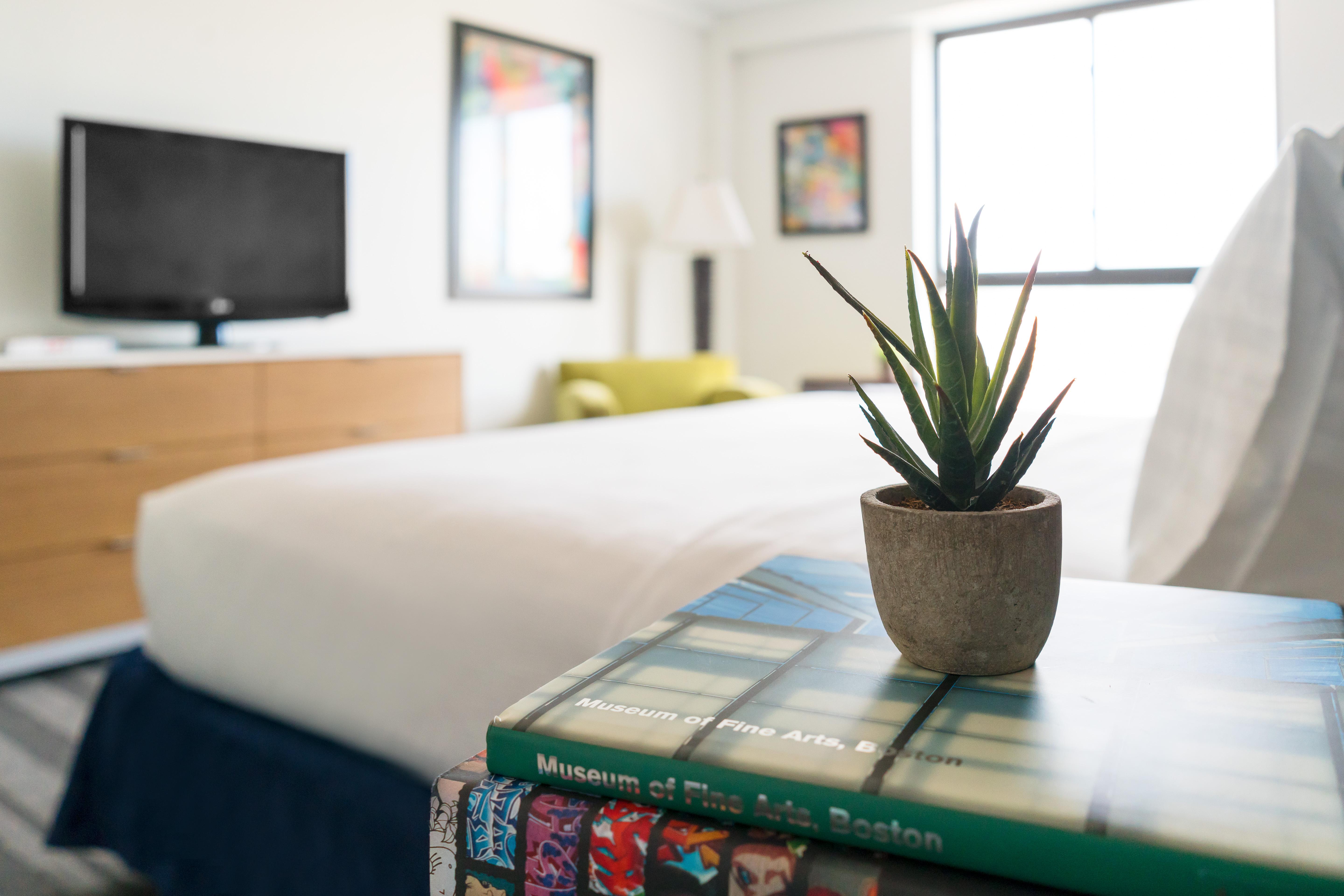 Studio Allston Hotel Boston Dış mekan fotoğraf